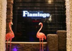 FLAMINGO(フラミンゴ)の紹介