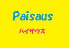 Paisaus 静岡店(パイザウス)の紹介