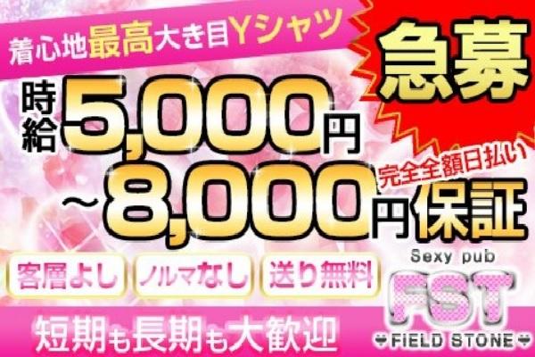 FIELD STONE(フィールドストーン)の紹介0